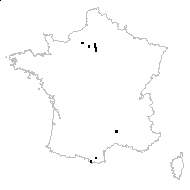 Syringa suaveolens Moench - carte des observations