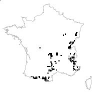 Ribes petraeum Wulfen - carte des observations