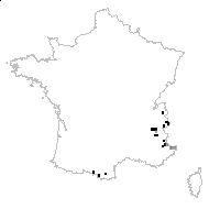 Saxifraga aspera L. - carte des observations