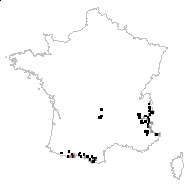 Saxifraga squarrosa Wol. - carte des observations