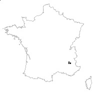 Carduus aurosicus Chaix - carte des observations