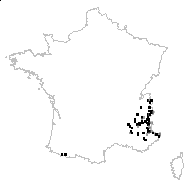 Saxifraga exarata Vill. - carte des observations