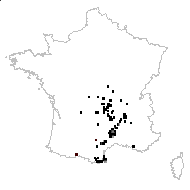 Anarrhinum violaceum Dulac - carte des observations