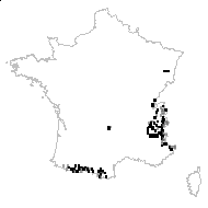Bartsia alpina L. - carte des observations