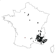 Rhus cotinus L. - carte des observations