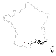 Parentucellia latifolia var. atroviolacea Rouy - carte des observations