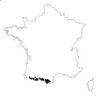 Pedicularis pyrenaica J.Gay - carte des observations