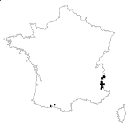 Pedicularis rosea subsp. allionii (Rchb.f.) Arcang. - carte des observations