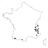 Pedicularis tuberosa L. - carte des observations