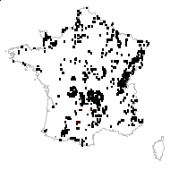 Rhinanthus crista-galli subsp. minor (L.) Bonnier & Layens - carte des observations