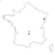 Rhinanthus minor subsp. stenophyllus (Schur) P.Fourn. - carte des observations