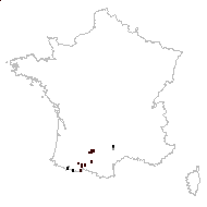 Rhinanthus pumilus (Sterneck) Soldano - carte des observations