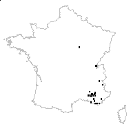 Scrophularia lucida L. - carte des observations