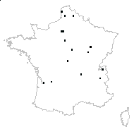 Scrophularia umbrosa Dumort. - carte des observations