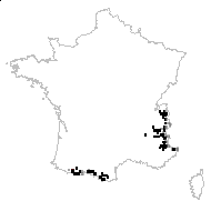 Veronica alpina var. crenata Rchb. - carte des observations