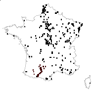 Veronica anagallis-aquatica L. - carte des observations