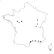 Veronica poljensis Murb. - carte des observations