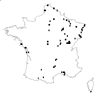 Veronica anagallis-aquatica proles aquatica (Nyman) Rouy - carte des observations