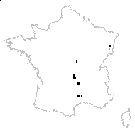 Veronica verna subsp. dillenii (Crantz) P.Fourn. - carte des observations