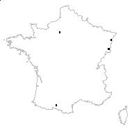 Pseudolysimachion longifolium (L.) Opiz - carte des observations