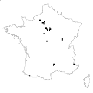 Veronica satureiifolia A.Poit. & Turpin - carte des observations