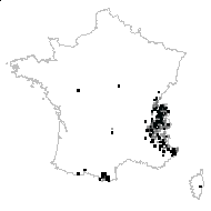 Veronica urticifolia Jacq. - carte des observations