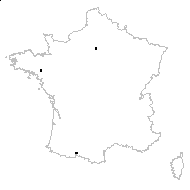 Capsicum annuum subsp. acuminatum (Fingerh.) Arcang. - carte des observations