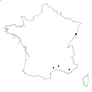 Solanum villosum Mill. subsp. villosum - carte des observations