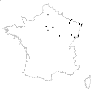 Staphylea pinnata L. - carte des observations