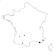 Styrax officinalis L. - carte des observations