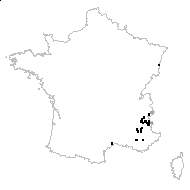 Myricaria alopecuroides Schrenk - carte des observations