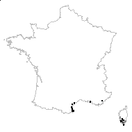 Tamarix hispanica Boiss. - carte des observations