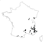 Daphne alpina L. - carte des observations