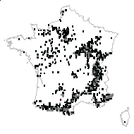 Daphne lapeyrousii Gand. - carte des observations