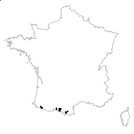 Stellera calycina (Lapeyr.) Kuntze - carte des observations