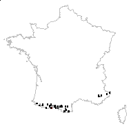 Passerina dioica (Gouan) Ramond - carte des observations