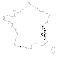 Pinguicula alpina var. flavescens (Floerke) Rouy - carte des observations