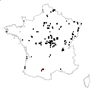 Utricularia australis R.Br. - carte des observations