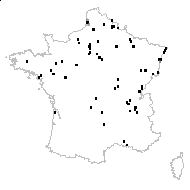 Utricularia vulgaris L. - carte des observations