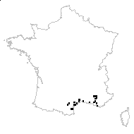 Valerianella coronata var. discoidea (L.) Mutel - carte des observations