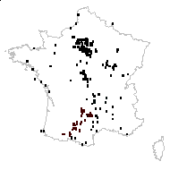 Valeriana locusta var. olitoria L. - carte des observations