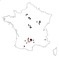 Valerianella rimosa Bastard - carte des observations