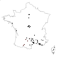 Centaurea pourretiana Timb.-Lagr. & Thevenau - carte des observations