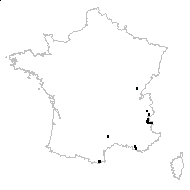 Viola teshioensis Miyabe & Tatew. - carte des observations