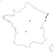 Viola canina subsp. sylvestris proles kutzingiana Rouy & Foucaud - carte des observations