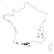 Viola hirta subsp. sciaphila (W.D.J.Koch) Rouy & Foucaud - carte des observations