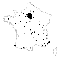 Viola riviniana Rchb. f. riviniana  - carte des observations