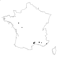 Viola odorata subsp. beraudii proles austriaca (A.Kern. & J.Kern.) Rouy & Foucaud - carte des observations