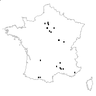 Parthenocissus tricuspidata (Siebold & Zucc.) Planch. - carte des observations