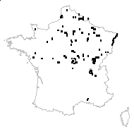 Sagittaria sagittifolia écoph. rhéophile  - carte des observations